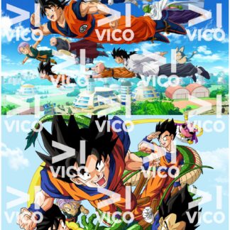 PAÑO ESTAMPADO x2 – DRAGONBALL-2