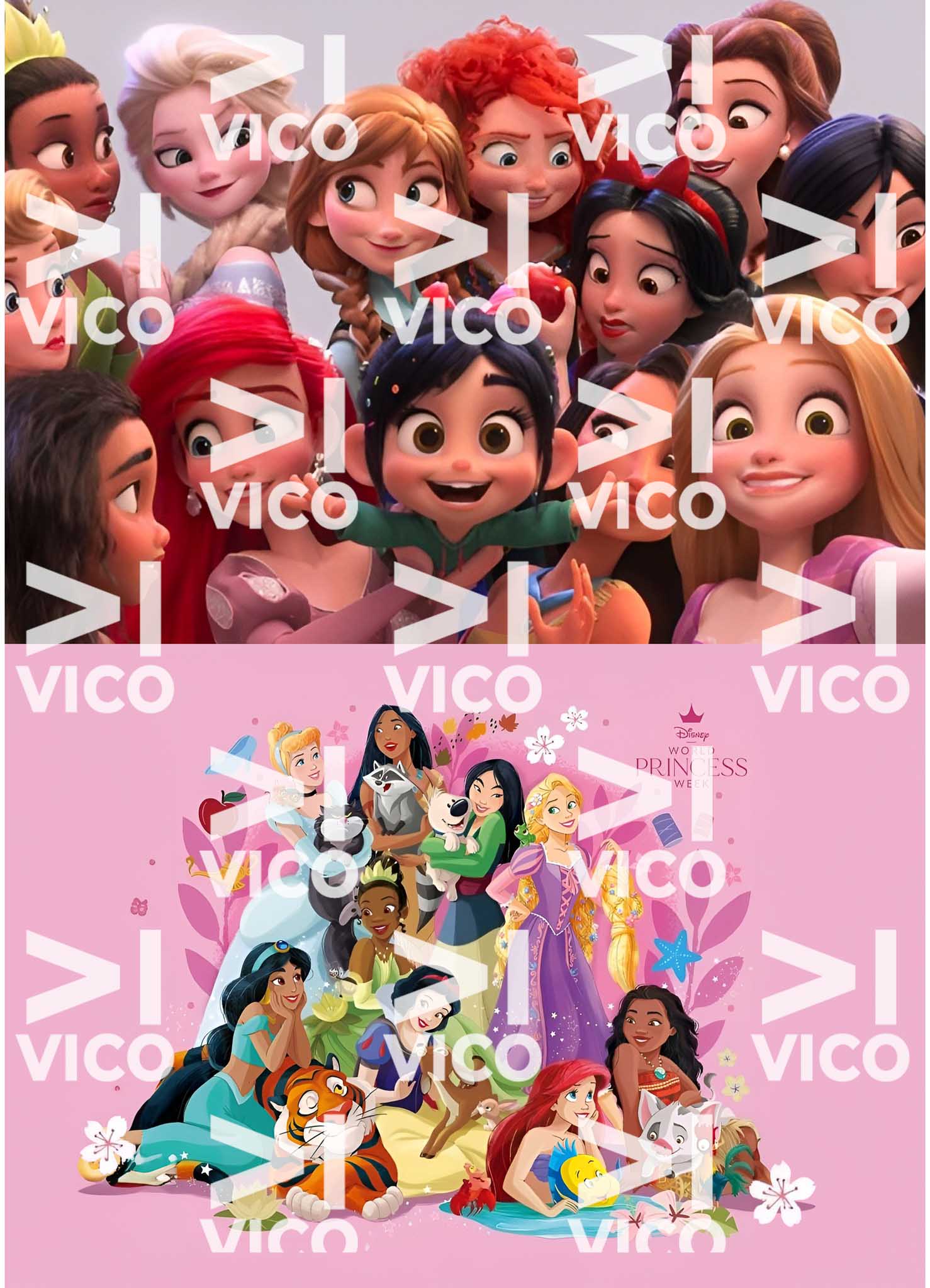 PAÑO ESTAMPADO x2 – PRINCESAS